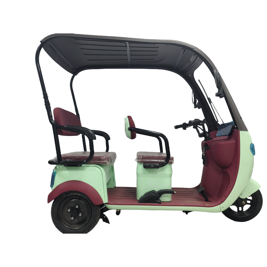 Fashionable Appearance Electric Tricycle Easy to Travel 650W 3-passenger Electric Tricycle
